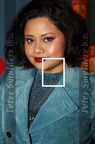 Amsterdam 8 december 2018
Premiere van Ralph Breaks the Internet in Pathe Arena. Linda Wagemakers met kinderen