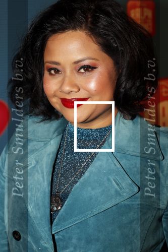 Amsterdam 8 december 2018
Premiere van Ralph Breaks the Internet in Pathe Arena. Linda Wagemakers met kinderen