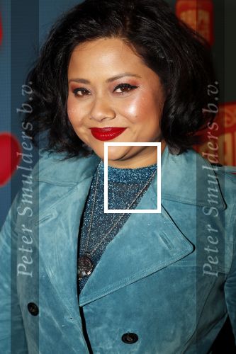 Amsterdam 8 december 2018
Premiere van Ralph Breaks the Internet in Pathe Arena. Linda Wagemakers met kinderen
