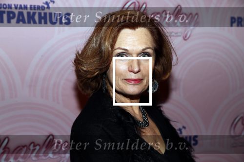 Rotterdam 9 december 2018
Premiere Charley in het oude Luxor theater. Liz Snoijink