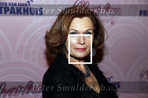 Rotterdam 9 december 2018
Premiere Charley in het oude Luxor theater. Liz Snoijink