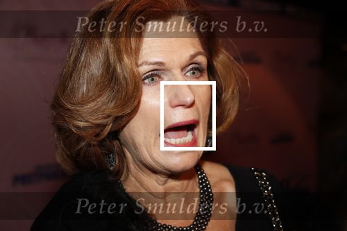 Rotterdam 9 december 2018
Premiere Charley in het oude Luxor theater. Liz Snoijink