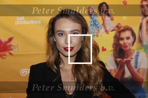 Amsterdam 22 november 2018
Premiere first kiss in het Amsterdam theater. Loiza lamers