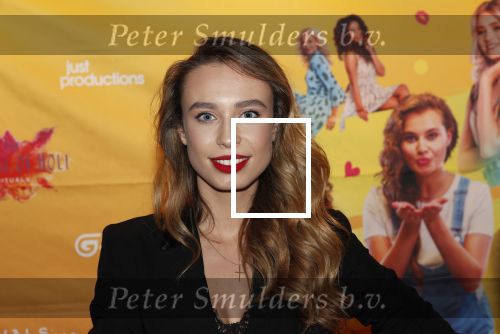 Amsterdam 22 november 2018
Premiere first kiss in het Amsterdam theater. Loiza lamers