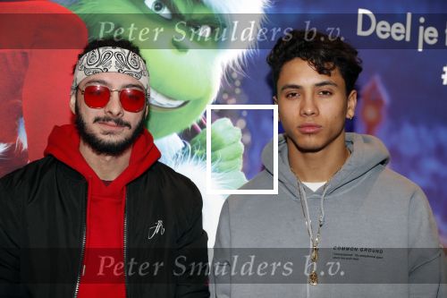 Amsterdam 24 november 2018
Premiere van de Grinch in pathe arena. Luca Gillot met â€¦