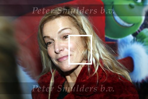 Amsterdam 224 november 2018
Premiere de Grinch in pathe arena.
Lucille Werner met man en zoon