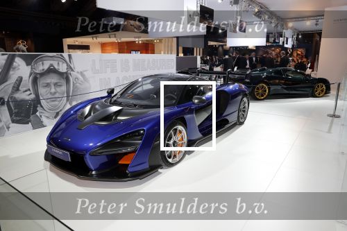 Amsterdam 6 december 2018
Openingsavond VIP van de luxery fair in de RAI.