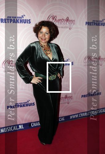 Rotterdam 9 december 2018
Premiere Charley in het oude Luxor theater. Maaike Widdershoven met man