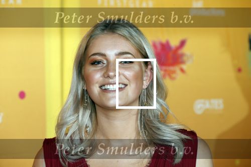 Amsterdam 22 november 2018
Premiere first kiss in het Amsterdam theater. Marije Zuurveld en Jeroen van Holland