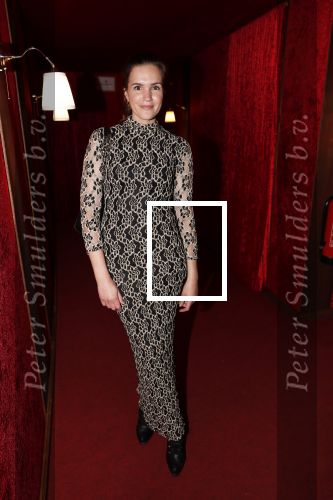Amsterdam 21 november 2018
Premiere Palazzo naast de Amsterdam arena. Marly v d Velden