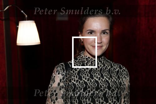 Amsterdam 21 november 2018
Premiere Palazzo naast de Amsterdam arena. Marly v d Velden