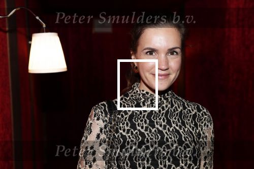 Amsterdam 21 november 2018
Premiere Palazzo naast de Amsterdam arena. Marly v d Velden
