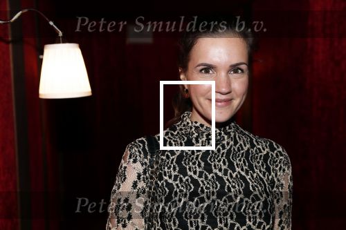 Amsterdam 21 november 2018
Premiere Palazzo naast de Amsterdam arena. Marly v d Velden