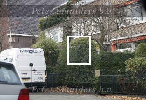 Amsterdam 22 november 2018
Verhuiswagen bij het huis van Martijn Krabbe.