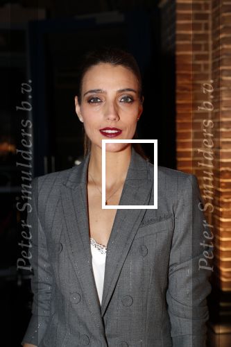 Amsterdam 10 december 2018
de Harper\'s Bazaar Woman of the Year Award 2018 in de Posthoornkerk . Marvy Rieder