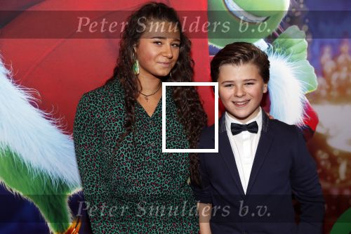Amsterdam 24 november 2018
Premiere van de Grinch in pathe arena.
Matheu Hinzen met zus