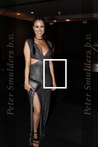 Amsterdam 6 december 2018
Openingsavond VIP van de luxery fair in de RAI. Melissa Sneekes
