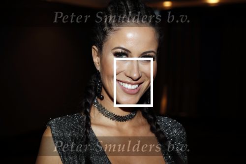 Amsterdam 6 december 2018
Openingsavond VIP van de luxery fair in de RAI. Melissa Sneekes
