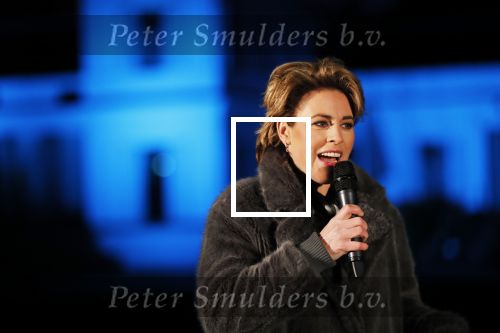 Soestdijk Baarn 6 december 2018
Kick off voor KWF aktie met lampionnen bij paleis Soestdijk . oa Wilfred Genee Coosje Smid Mirella v Markus Jeroen Snel en Andre v d Toorn doen mee.