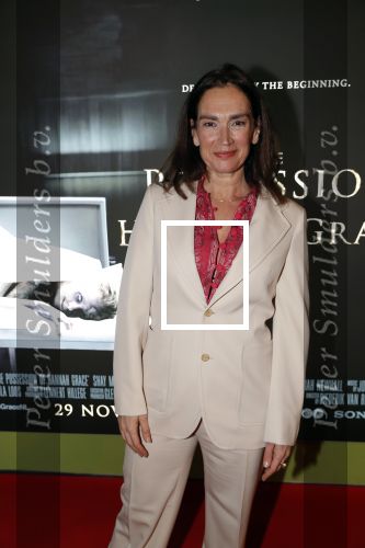 Amsterdam 26 november 2018
Premiere van the possession of Hannah Grace van regisseur Diederik v Rooijen in Pathe de munt. Monic Hendrickx