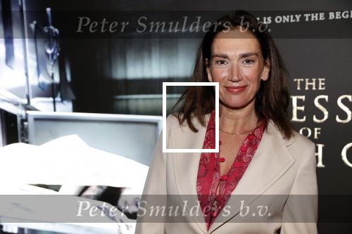 Amsterdam 26 november 2018
Premiere van the possession of Hannah Grace van regisseur Diederik v Rooijen in Pathe de munt. Monic Hendrickx