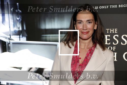 Amsterdam 26 november 2018
Premiere van the possession of Hannah Grace van regisseur Diederik v Rooijen in Pathe de munt. Monic Hendrickx