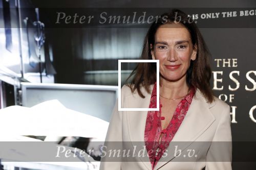 Amsterdam 26 november 2018
Premiere van the possession of Hannah Grace van regisseur Diederik v Rooijen in Pathe de munt. Monic Hendrickx