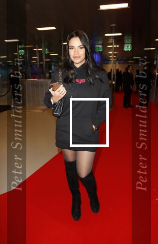 Amsterdam 11 december 2018
Modeshow en feest Nikkie Plessen met heel veel artiesten in AFAS live. Monica Geuze