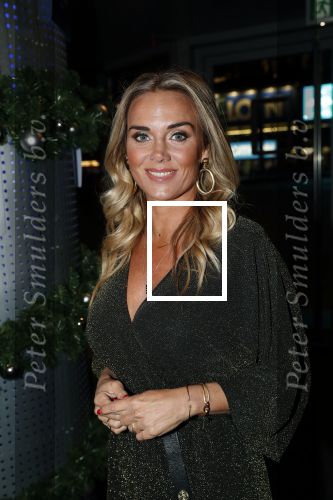 Amsterdam 11 december 2018
Modeshow en feest Nikkie Plessen met heel veel artiesten in AFAS live. Monique Hazes