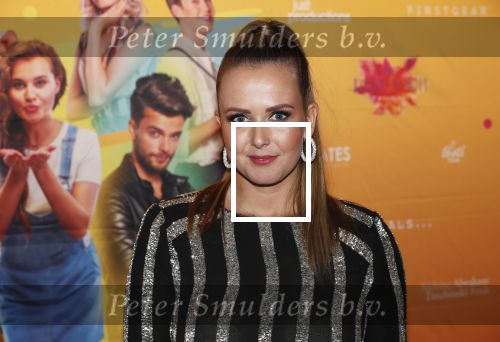 Amsterdam 22 november 2018
Premiere first kiss in het Amsterdam theater. Monique Smit