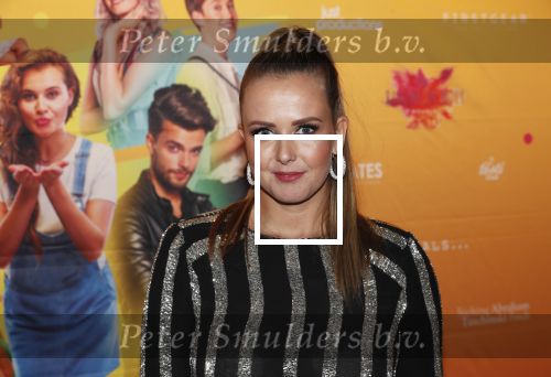 Amsterdam 22 november 2018
Premiere first kiss in het Amsterdam theater. Monique Smit