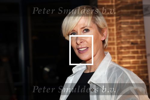 Amsterdam 10 december 2018
de Harper\'s Bazaar Woman of the Year Award 2018 in de Posthoornkerk . Monique des Bouvrie