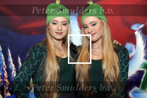 Amsterdam 24 november 2018
Premiere van de Grinch in pathe arena.
Mylene en Rosanne