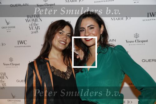 Amsterdam 10 december 2018
de Harper\'s Bazaar Woman of the Year Award 2018 in de Posthoornkerk . Nadia Moussaid