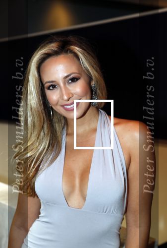 Den Haag 10 december 2018
Society Lunch in het crown plaza hotel.
Natascha Bessez