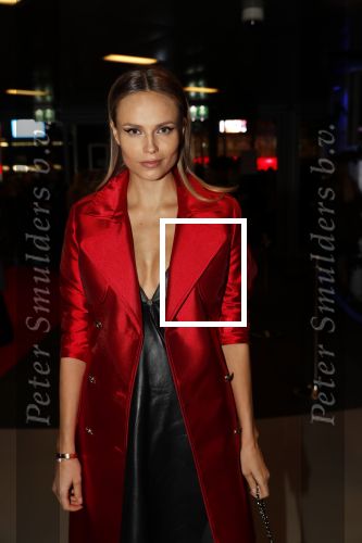 Amsterdam 11 december 2018
Modeshow en feest Nikkie Plessen met heel veel artiesten in AFAS live. Natasha Poly