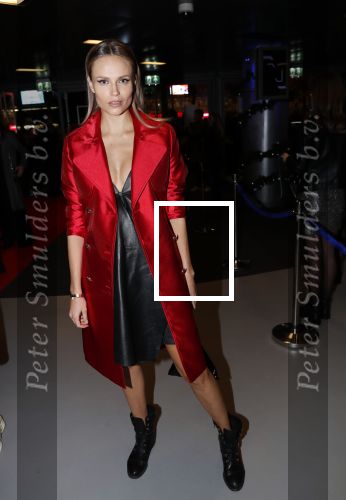 Amsterdam 11 december 2018
Modeshow en feest Nikkie Plessen met heel veel artiesten in AFAS live. Natasha Poly