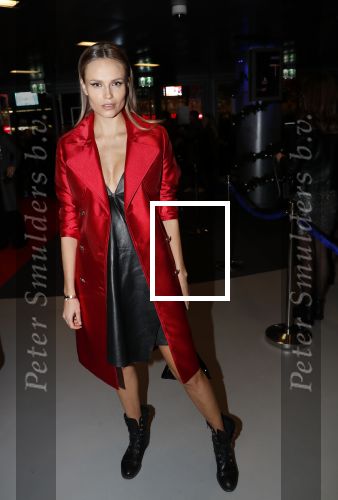 Amsterdam 11 december 2018
Modeshow en feest Nikkie Plessen met heel veel artiesten in AFAS live. Natasha Poly