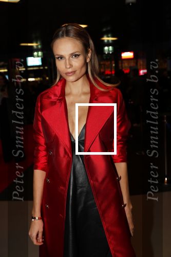 Amsterdam 11 december 2018
Modeshow en feest Nikkie Plessen met heel veel artiesten in AFAS live. Natasha Poly