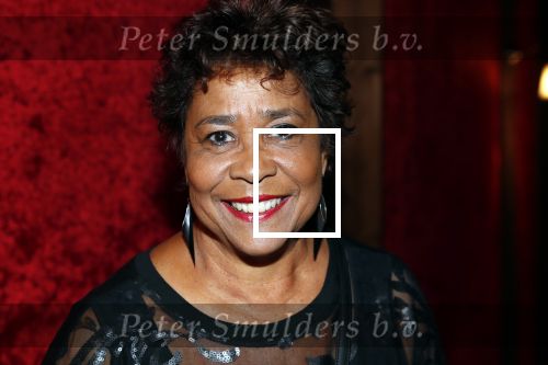 Amsterdam 21 november 2018
Premiere Palazzo naast de Amsterdam arena. Noraly Beyer met een vriendin