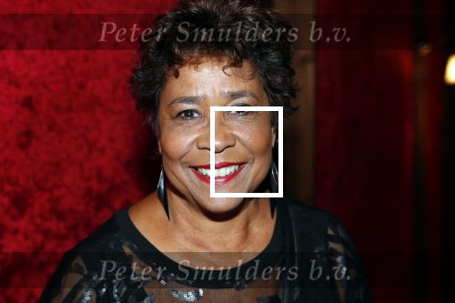 Amsterdam 21 november 2018
Premiere Palazzo naast de Amsterdam arena. Noraly Beyer met een vriendin