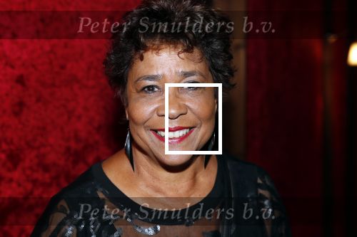 Amsterdam 21 november 2018
Premiere Palazzo naast de Amsterdam arena. Noraly Beyer met een vriendin
