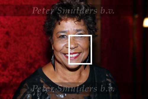Amsterdam 21 november 2018
Premiere Palazzo naast de Amsterdam arena. Noraly Beyer met een vriendin