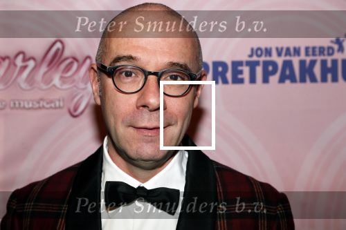 Rotterdam 9 december 2018
Premiere Charley in het oude Luxor theater. Owen Schoemacher