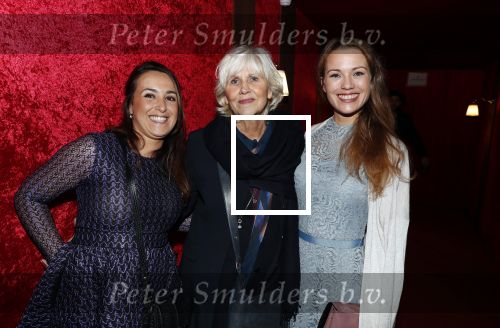 Amsterdam 21 november 2018
Premiere Palazzo naast de Amsterdam arena.