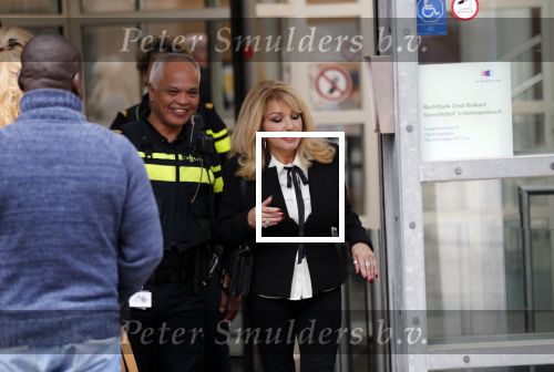 Den Bosch 30 november 2018
Rechtszaak tussen Johan Vlemmix en Patricia Paay. Johan kwam met een look a like pop ( in rolstoel) van zichzelf en Patricia kwam met haar man Robbert Hinfelaar naar de rechtbank in Den Bosch.