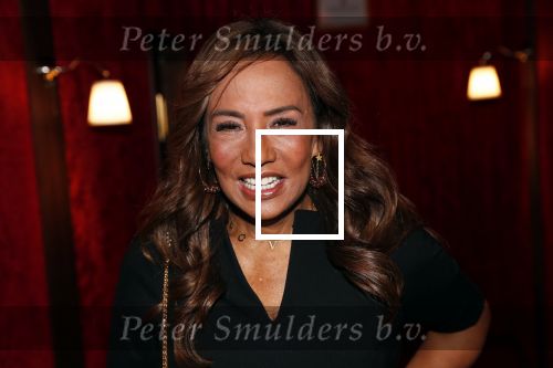 Amsterdam 21 november 2018
Premiere Palazzo naast de Amsterdam arena. Patty Brard met tatoo
