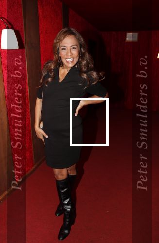 Amsterdam 21 november 2018
Premiere Palazzo naast de Amsterdam arena. Patty Brard met tatoo