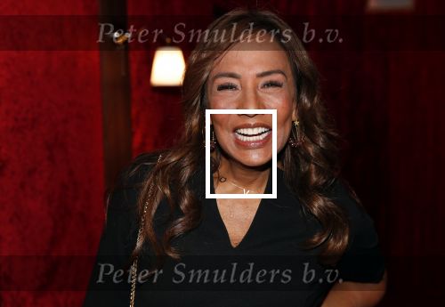 Amsterdam 21 november 2018
Premiere Palazzo naast de Amsterdam arena. Patty Brard met tatoo