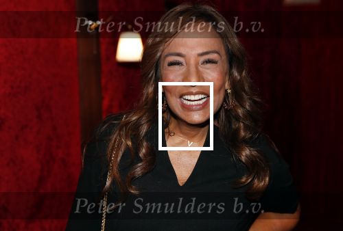 Amsterdam 21 november 2018
Premiere Palazzo naast de Amsterdam arena. Patty Brard met tatoo